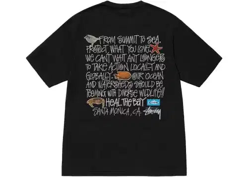 Stussy Heal The Bay Pigment Dyed Summit To Sea Tee Black