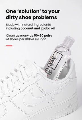 Standard Shoe Cleaning Kit